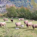 El Refugio De Tena - Tucasaenlospirineos * Escarrilla