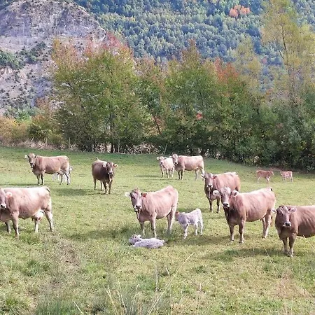 El Refugio De Tena - Tucasaenlospirineos * Escarrilla